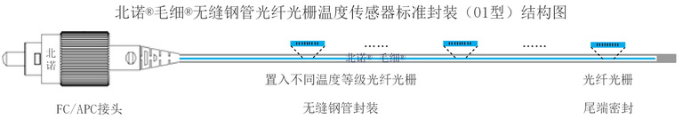 北諾300攝氏度毛細(xì)無縫鋼管串式（陣列式）光纖光柵傳感器（01型）結(jié)構(gòu)圖