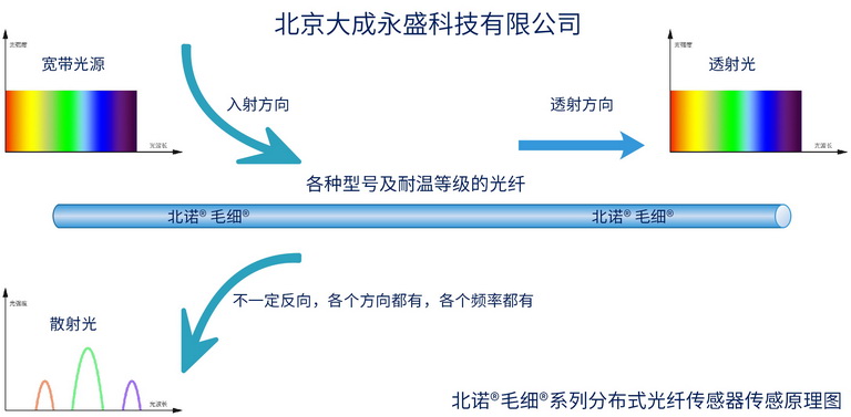 分布式光纖傳感原理示意圖